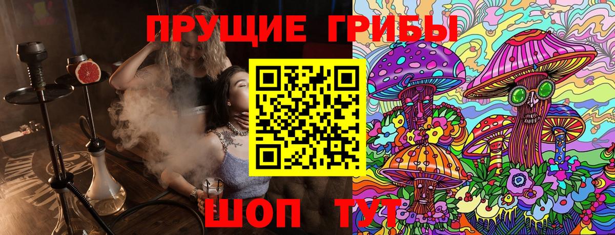 Татарск  Псилоцибиновые грибы Psilocybine cubensis  Вход с VPN 